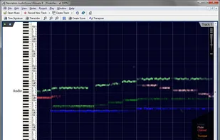 Neuratron AudioScore screenshot 3