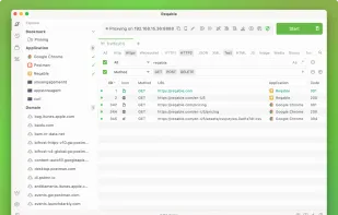 Reqable screenshot 1