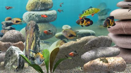Aquarium 3D - Fish Farm - Apps on Google Play