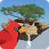 My Aviary icon