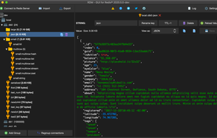 Redis Desktop Manager screenshot 1