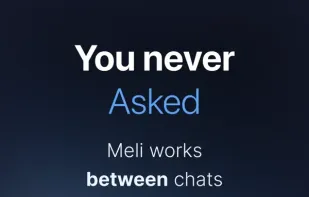 Meli AI screenshot 3