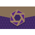 Snapshot Pro icon