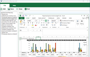 Softmagnat Microsoft Excel Recovery Tool screenshot 2