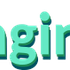 imgin.org icon
