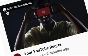 RegretsReporter screenshot 1