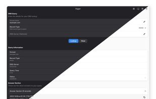 Digger DNS Lookup screenshot 1