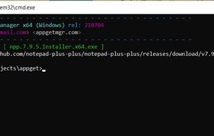 Windows Download File Manager screenshot 1