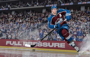 NHL screenshot 2