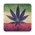Cannabapp icon