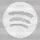 Spotify TUI icon