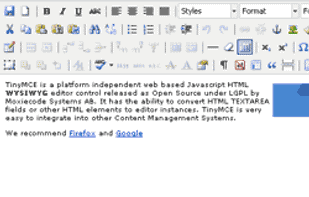 TinyMCE screenshot 1