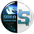 SORA L1/L2 icon