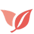 Wecora icon