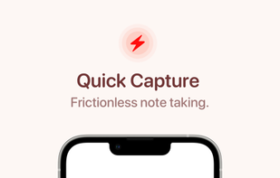 Quick Capture screenshot 1