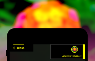 Plant Identification screenshot 1