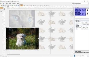Crop images to remove unwanted areas