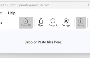 Main window, can also be minimized to tray.