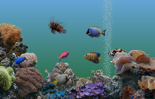 Marine Aquarium screenshot 1