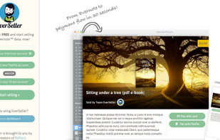 EverSeller screenshot 1