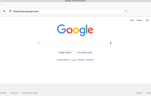 Pocket Browser screenshot 1
