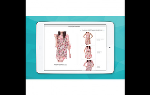 VUE - Visual Product Recommendation System screenshot 2
