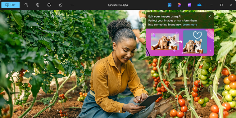 Microsoft Photos integrates AI-powered Designer for enhanced photo editing on Windows 11 image