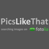 PicsLikeThat icon