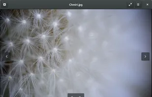 eye of MATE screenshot 1