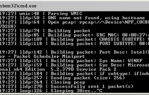 LLDP beacon screenshot 1