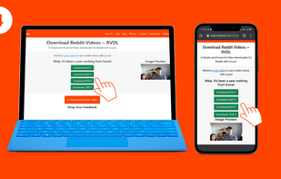 RedditVideodl.com screenshot 3