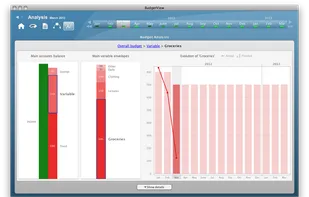 Analyze your budget visually