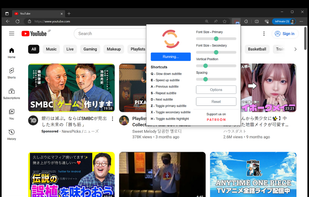 Youtube Bilingual Subtitles screenshot 1