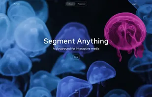 Segment Anything screenshot 1