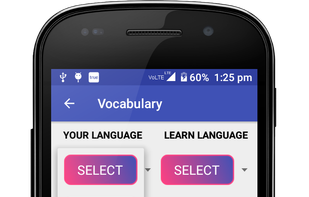 language selection screen