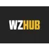 WZHUB.gg icon