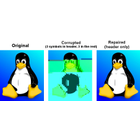 pyFileFixity icon