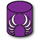 SchemaCrawler icon