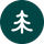 Pine icon