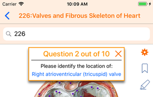 Netter's Anatomy Atlas 7e screenshot 3
