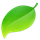 Coda icon