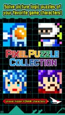 Pixel Puzzle Collection screenshot 1