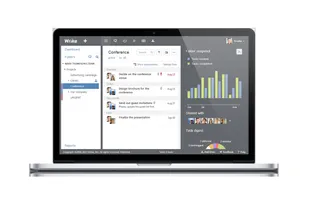 Project management in Wrike