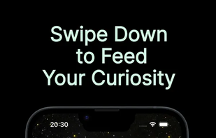 WikiTok screenshot 2