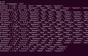 Honeypots screenshot 1
