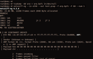 netsniff-ng screenshot 1