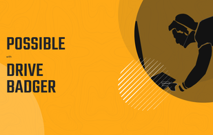 Drive Badger screenshot 1