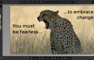 SlideBot screenshot 1