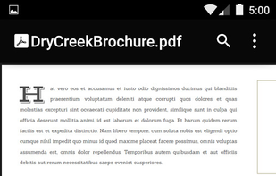 Google PDF Viewer screenshot 1