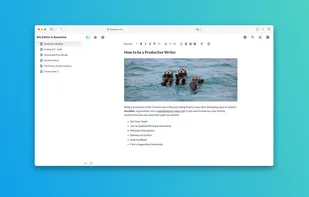 Shy Editor screenshot 1